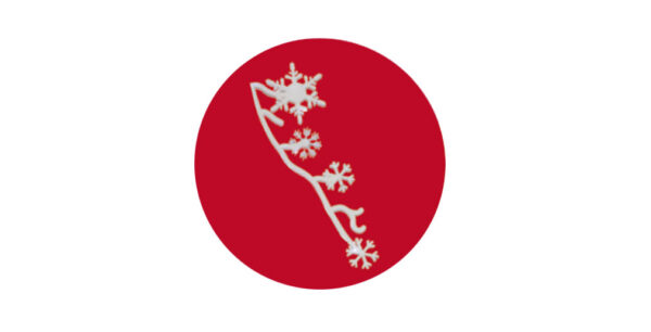 Allestimenti Natalizi in polistirolo - immagine 3